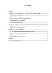 Liublino unijos reikšmė 2 puslapis