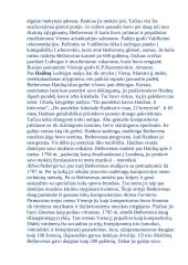 Liudvigas van Bethovenas - gyvenimas bei kūryba 3 puslapis