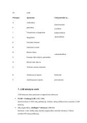 LOB tekstynas 13 puslapis