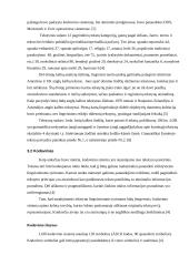 LOB tekstynas 6 puslapis