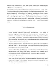Maisto higiena 9 puslapis