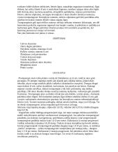 Mano ligos istorija 2 puslapis