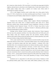 Mažoji Lietuva ir jos kultūra 2 puslapis