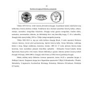 Mažoji Lietuva ir jos kultūra 8 puslapis