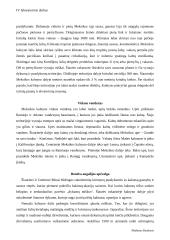 Meksikos kalnynas 2 puslapis