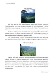 Meksikos kalnynas 5 puslapis