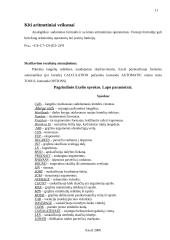 Microsoft Excel 2000 apžvalga 10 puslapis