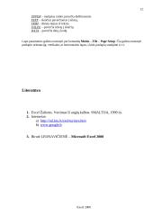 Microsoft Excel 2000 apžvalga 11 puslapis