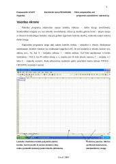 Microsoft Excel 2000 apžvalga 3 puslapis