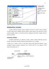 Microsoft Excel 2000 apžvalga 5 puslapis