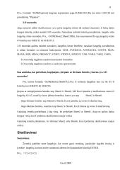 Microsoft Excel 2000 apžvalga 7 puslapis