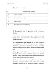 Microsoft Outlook programa įstaigos darbo organizavime 3 puslapis