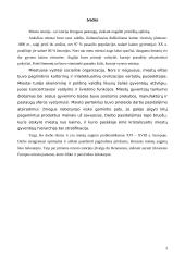 Miesto augimas XVI - XVIII amžiuje 2 puslapis