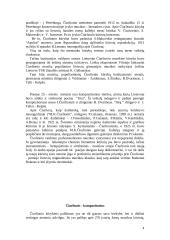 Mikalojus Konstantinas Čiurlionis 4 puslapis