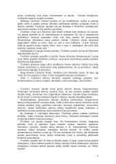 Mikalojus Konstantinas Čiurlionis 5 puslapis