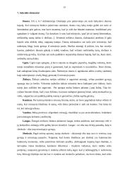 Mirties samprata lietuvių liaudies tikėjimuose 13 puslapis