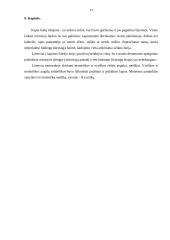 Mirties samprata lietuvių liaudies tikėjimuose 17 puslapis