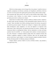 Mirties samprata lietuvių liaudies tikėjimuose 3 puslapis