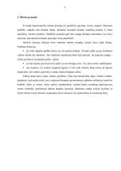 Mirties samprata lietuvių liaudies tikėjimuose 5 puslapis