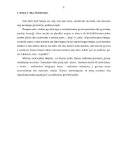 Mirties samprata lietuvių liaudies tikėjimuose 6 puslapis