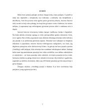 Mirties suvokimas 2 puslapis