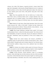 Mirties suvokimas 11 puslapis