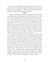 Mirties suvokimas 16 puslapis