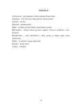 Mirties suvokimas 18 puslapis