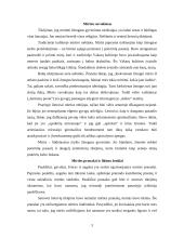 Mirties suvokimas 3 puslapis