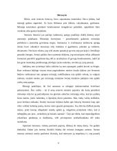 Mirties suvokimas 6 puslapis