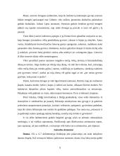 Mirties suvokimas 9 puslapis