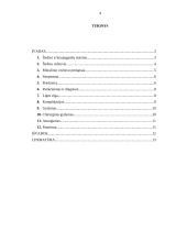 Mitralinio širdies vožtuvo prolapsas 2 puslapis