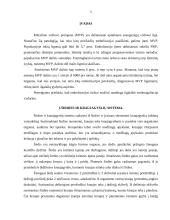 Mitralinio širdies vožtuvo prolapsas 3 puslapis