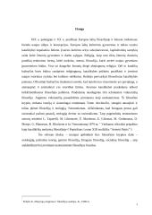 Modernios neotomistinės istorijos filosofijos bruožai 3 puslapis