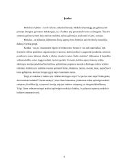 Mokslas ir kultūra 3 puslapis