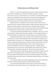 Mokslas ir kultūra 4 puslapis