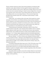 Mokslas ir kultūra 5 puslapis