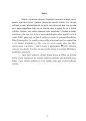 Mokslinio pažinimo specializacija 2 puslapis