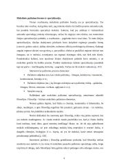 Mokslinio pažinimo specializacija 3 puslapis