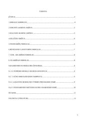 Mokslo raida 2 puslapis