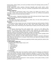 Multimedia 5 puslapis