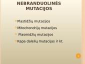 Mutacijų atsiradimas bei klasifikacija 11 puslapis