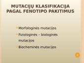 Mutacijų atsiradimas bei klasifikacija 12 puslapis