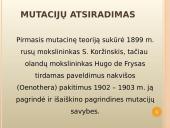 Mutacijų atsiradimas bei klasifikacija 3 puslapis