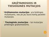 Mutacijų atsiradimas bei klasifikacija 5 puslapis