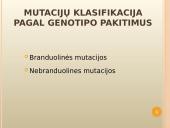 Mutacijų atsiradimas bei klasifikacija 6 puslapis