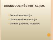 Mutacijų atsiradimas bei klasifikacija 7 puslapis