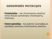 Mutacijų atsiradimas bei klasifikacija 8 puslapis