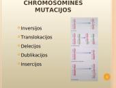 Mutacijų atsiradimas bei klasifikacija 9 puslapis