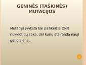 Mutacijų atsiradimas bei klasifikacija 10 puslapis